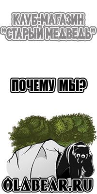 Толстовка с медведем